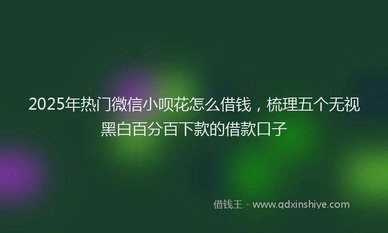2025年热门微信小呗花怎么借钱，梳理五个无视黑白百分百下款的借款口子