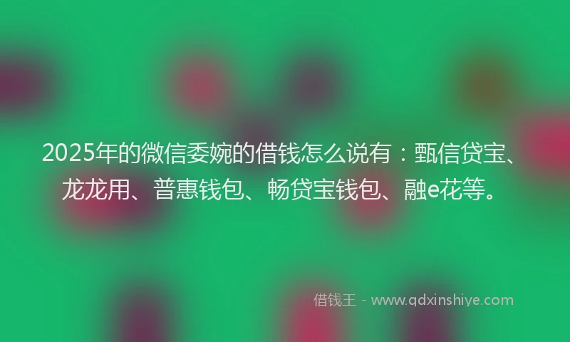 2025年的微信委婉的借钱怎么说有：甄信贷宝、龙龙用、普惠钱包、畅贷宝钱包、融e花等。