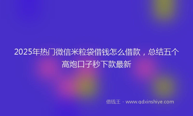 2025年热门微信米粒袋借钱怎么借款，总结五个高炮口子秒下款最新