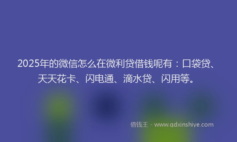 2025年的微信怎么在微利贷借钱呢有：口袋贷、天天花卡、闪电通、滴水贷、闪用等。