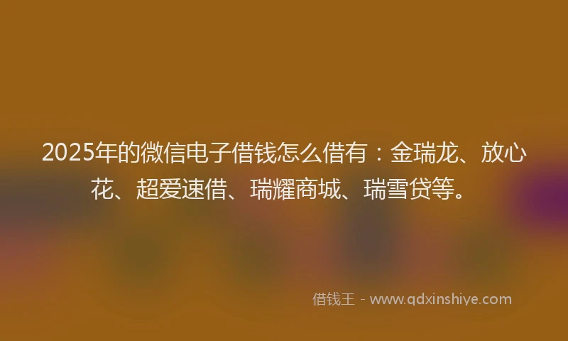 2025年的微信电子借钱怎么借有：金瑞龙、放心花、超爱速借、瑞耀商城、瑞雪贷等。