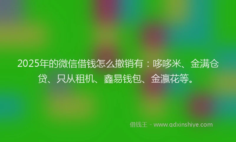 2025年的微信借钱怎么撤销有：哆哆米、金满仓贷、只从租机、鑫易钱包、金瀛花等。
