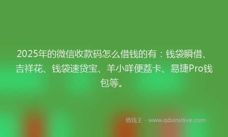 2025年的微信收款码怎么借钱的有：钱袋瞬借、吉祥花、钱袋速贷宝、羊小咩便荔卡、易捷Pro钱包等。