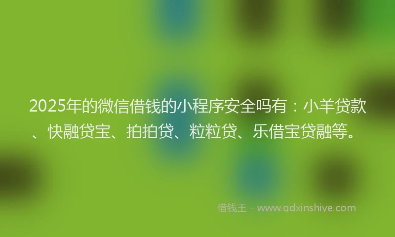 2025年的微信借钱的小程序安全吗有：小羊贷款、快融贷宝、拍拍贷、粒粒贷、乐借宝贷融等。