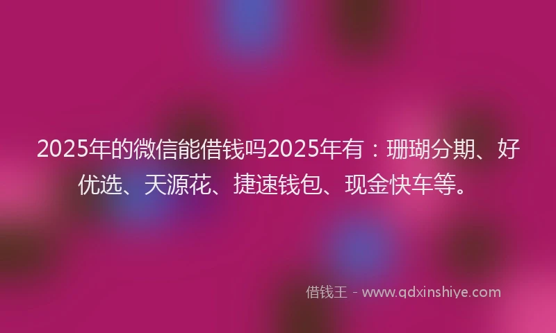 2025年的微信能借钱吗2025年有：珊瑚分期、好优选、天源花、捷速钱包、现金快车等。