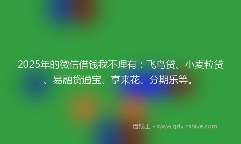2025年的微信借钱我不理有：飞鸟贷、小麦粒贷、易融贷通宝、享来花、分期乐等。