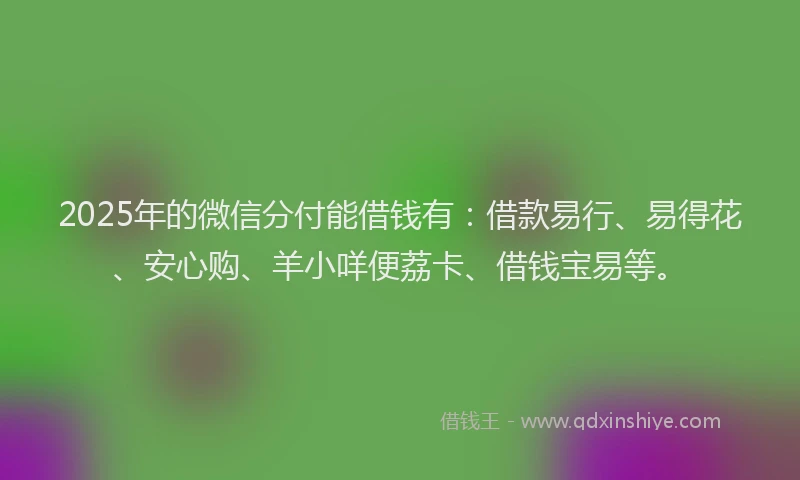 2025年的微信分付能借钱有：借款易行、易得花、安心购、羊小咩便荔卡、借钱宝易等。
