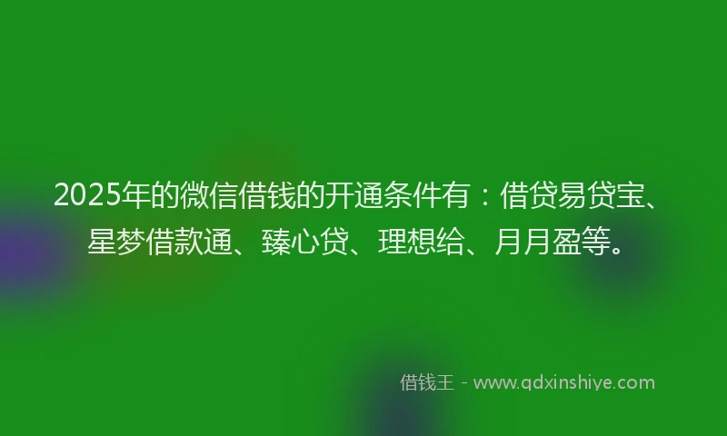2025年的微信借钱的开通条件有：借贷易贷宝、星梦借款通、臻心贷、理想给、月月盈等。
