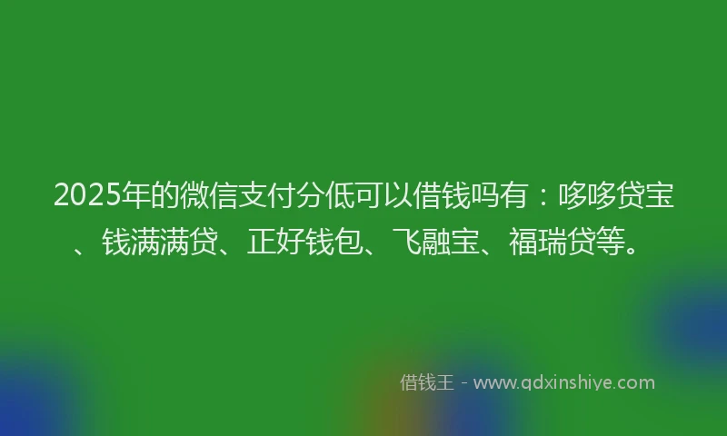 2025年的微信支付分低可以借钱吗有：哆哆贷宝、钱满满贷、正好钱包、飞融宝、福瑞贷等。