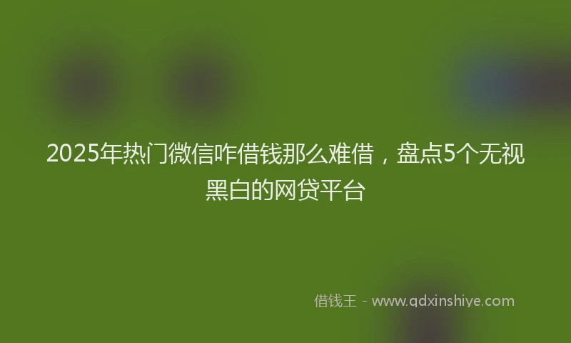 2025年热门微信咋借钱那么难借，盘点5个无视黑白的网贷平台