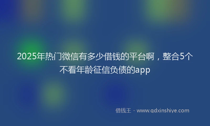 2025年热门微信有多少借钱的平台啊，整合5个不看年龄征信负债的app