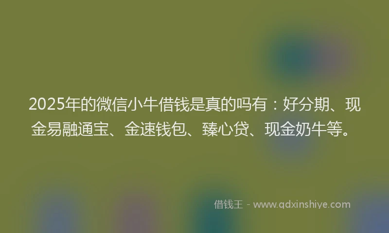 2025年的微信小牛借钱是真的吗有：好分期、现金易融通宝、金速钱包、臻心贷、现金奶牛等。