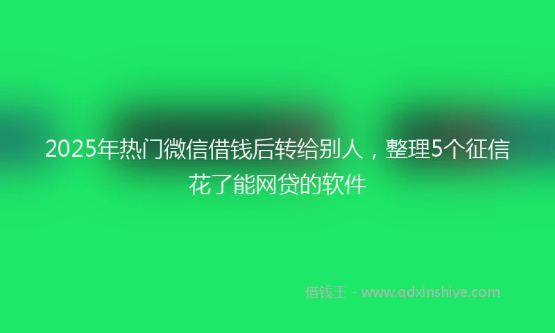 2025年热门微信借钱后转给别人，整理5个征信花了能网贷的软件