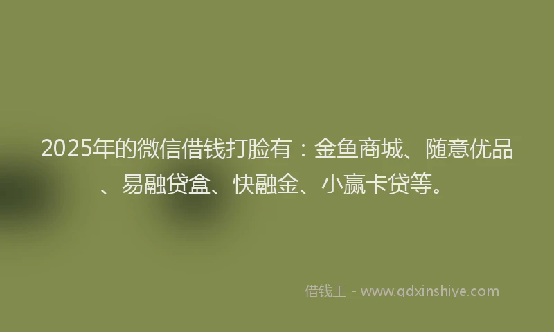 2025年的微信借钱打脸有：金鱼商城、随意优品、易融贷盒、快融金、小赢卡贷等。
