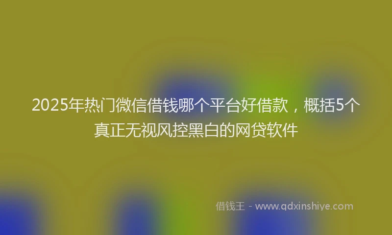2025年热门微信借钱哪个平台好借款，概括5个真正无视风控黑白的网贷软件