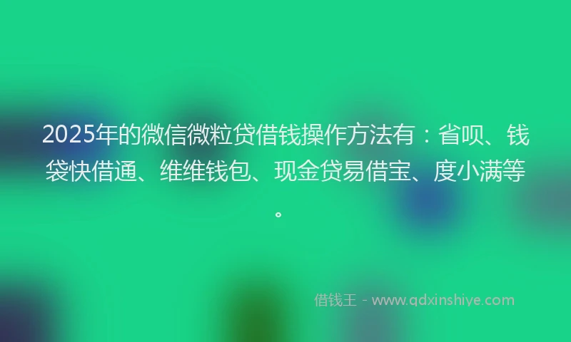 2025年的微信微粒贷借钱操作方法有：省呗、钱袋快借通、维维钱包、现金贷易借宝、度小满等。