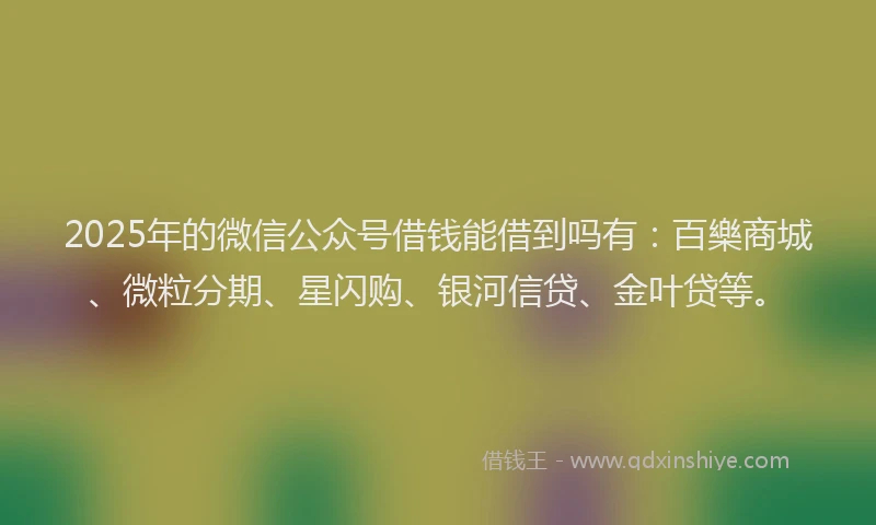 2025年的微信公众号借钱能借到吗有：百樂商城、微粒分期、星闪购、银河信贷、金叶贷等。