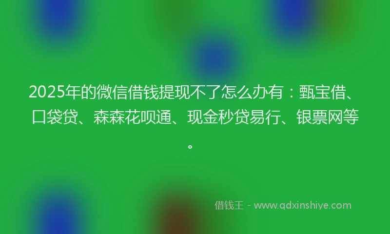 2025年的微信借钱提现不了怎么办有：甄宝借、口袋贷、森森花呗通、现金秒贷易行、银票网等。