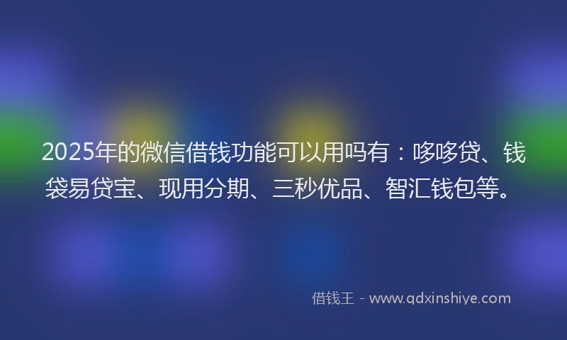 2025年的微信借钱功能可以用吗有：哆哆贷、钱袋易贷宝、现用分期、三秒优品、智汇钱包等。