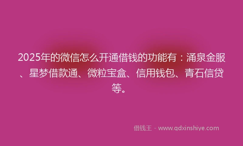2025年的微信怎么开通借钱的功能有：涌泉金服、星梦借款通、微粒宝盒、信用钱包、青石信贷等。