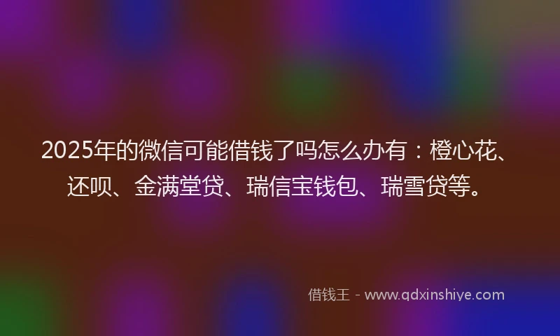 2025年的微信可能借钱了吗怎么办有：橙心花、还呗、金满堂贷、瑞信宝钱包、瑞雪贷等。