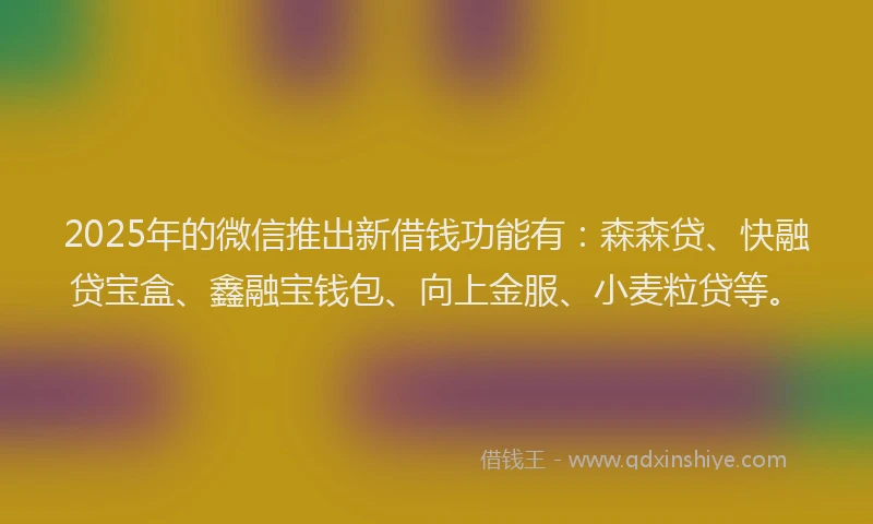 2025年的微信推出新借钱功能有：森森贷、快融贷宝盒、鑫融宝钱包、向上金服、小麦粒贷等。