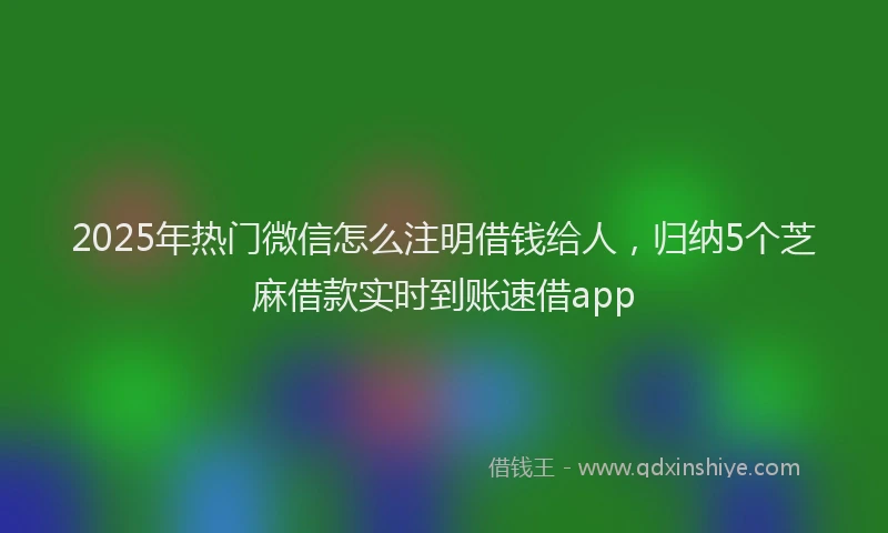 2025年热门微信怎么注明借钱给人，归纳5个芝麻借款实时到账速借app