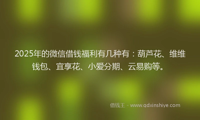 2025年的微信借钱福利有几种有：葫芦花、维维钱包、宜享花、小爱分期、云易购等。