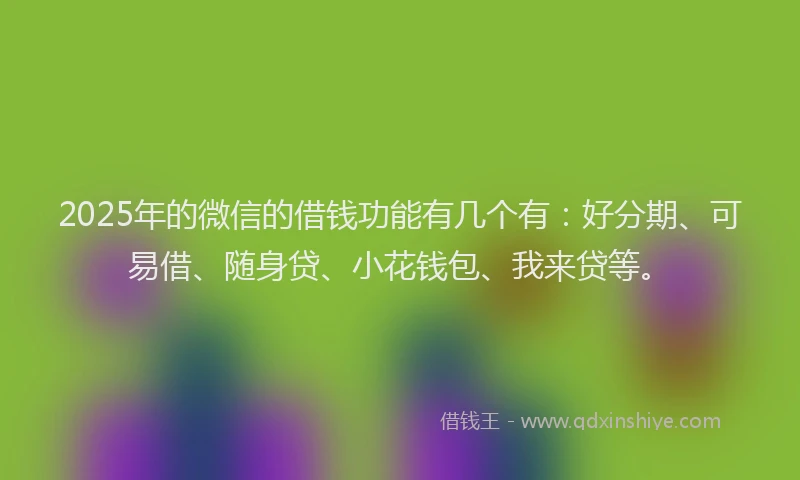 2025年的微信的借钱功能有几个有：好分期、可易借、随身贷、小花钱包、我来贷等。