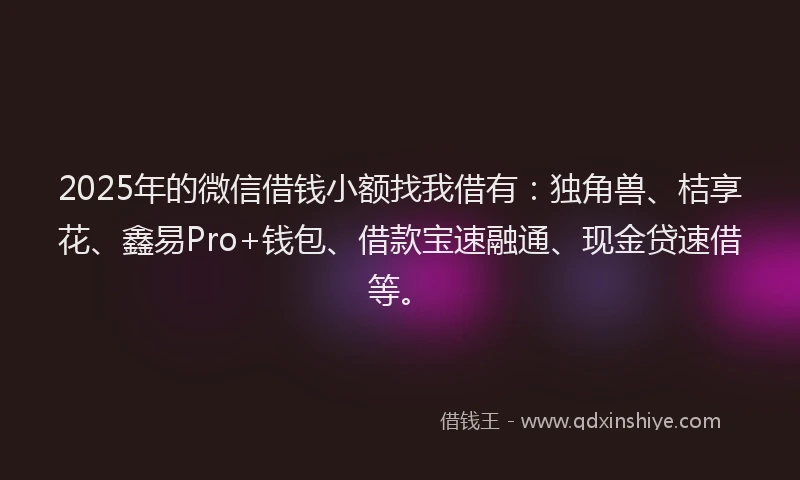 2025年的微信借钱小额找我借有：独角兽、桔享花、鑫易Pro+钱包、借款宝速融通、现金贷速借等。