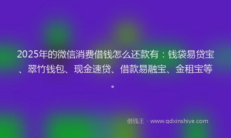 2025年的微信消费借钱怎么还款有：钱袋易贷宝、翠竹钱包、现金速贷、借款易融宝、金租宝等。