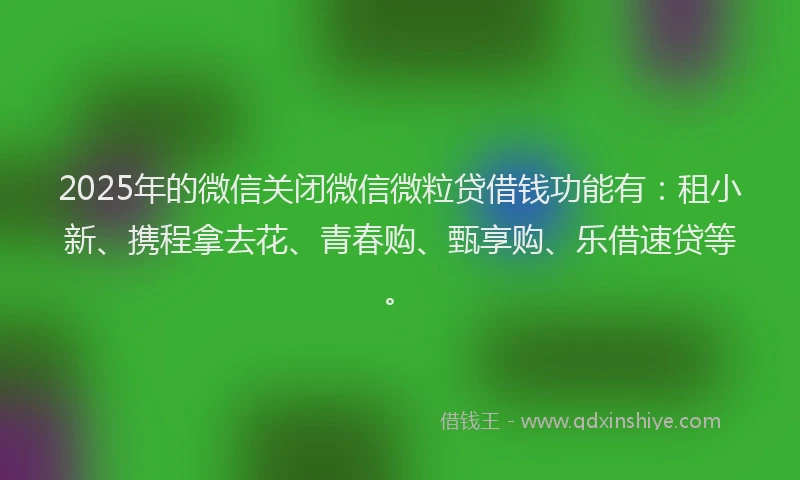 2025年的微信关闭微信微粒贷借钱功能有：租小新、携程拿去花、青春购、甄享购、乐借速贷等。