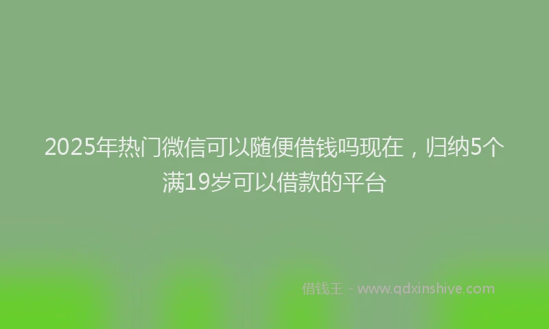 2025年热门微信可以随便借钱吗现在，归纳5个满19岁可以借款的平台