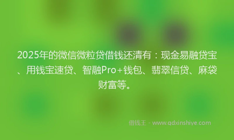 2025年的微信微粒贷借钱还清有：现金易融贷宝、用钱宝速贷、智融Pro+钱包、翡翠信贷、麻袋财富等。