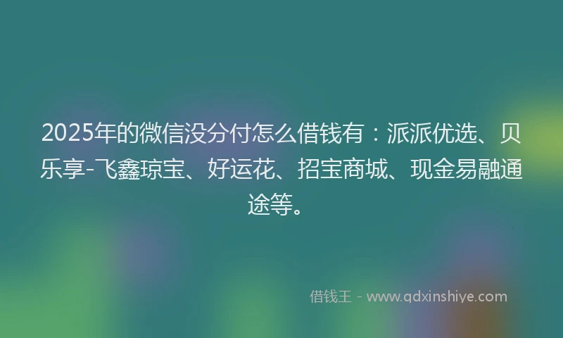2025年的微信没分付怎么借钱有：派派优选、贝乐享-飞鑫琼宝、好运花、招宝商城、现金易融通途等。