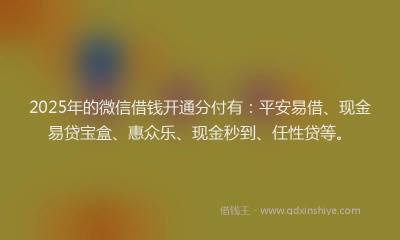 2025年的微信借钱开通分付有：平安易借、现金易贷宝盒、惠众乐、现金秒到、任性贷等。