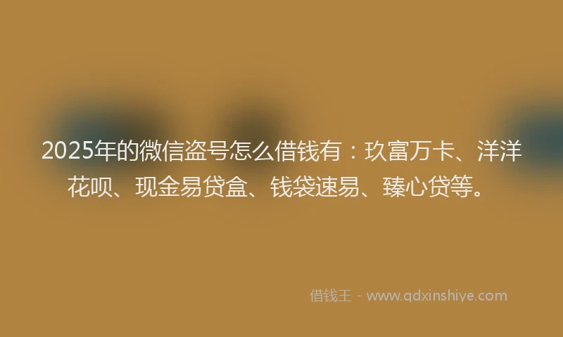 2025年的微信盗号怎么借钱有：玖富万卡、洋洋花呗、现金易贷盒、钱袋速易、臻心贷等。