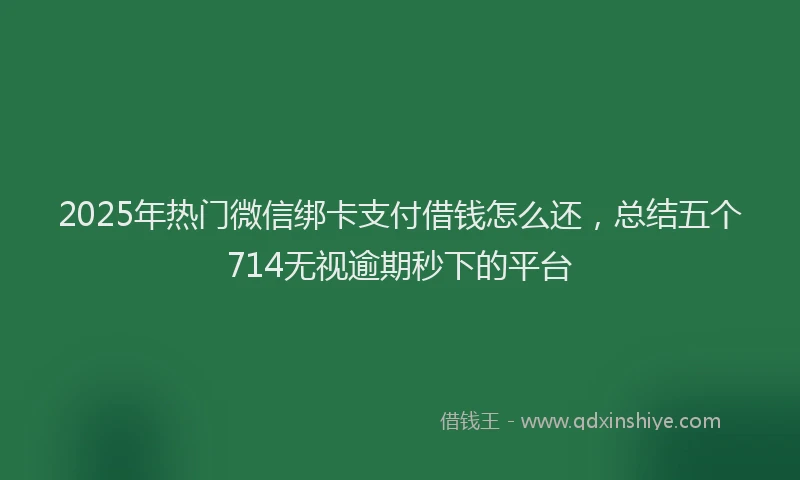 2025年热门微信绑卡支付借钱怎么还，总结五个714无视逾期秒下的平台