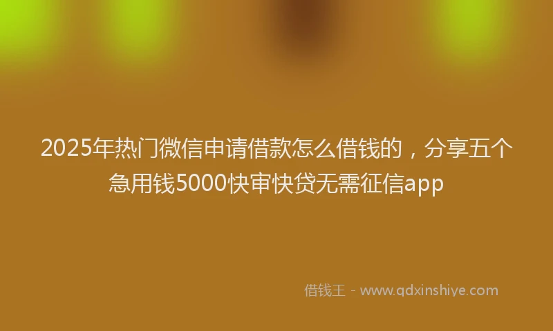 2025年热门微信申请借款怎么借钱的，分享五个急用钱5000快审快贷无需征信app