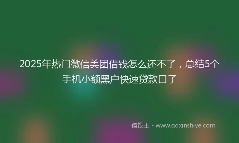 2025年热门微信美团借钱怎么还不了，总结5个手机小额黑户快速贷款口子
