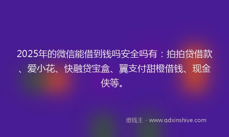 2025年的微信能借到钱吗安全吗有：拍拍贷借款、爱小花、快融贷宝盒、翼支付甜橙借钱、现金侠等。
