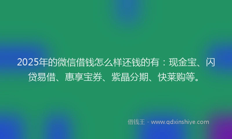 2025年的微信借钱怎么样还钱的有：现金宝、闪贷易借、惠享宝券、紫晶分期、快莱购等。