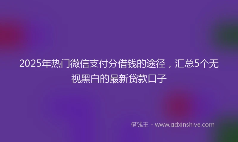 2025年热门微信支付分借钱的途径，汇总5个无视黑白的最新贷款口子