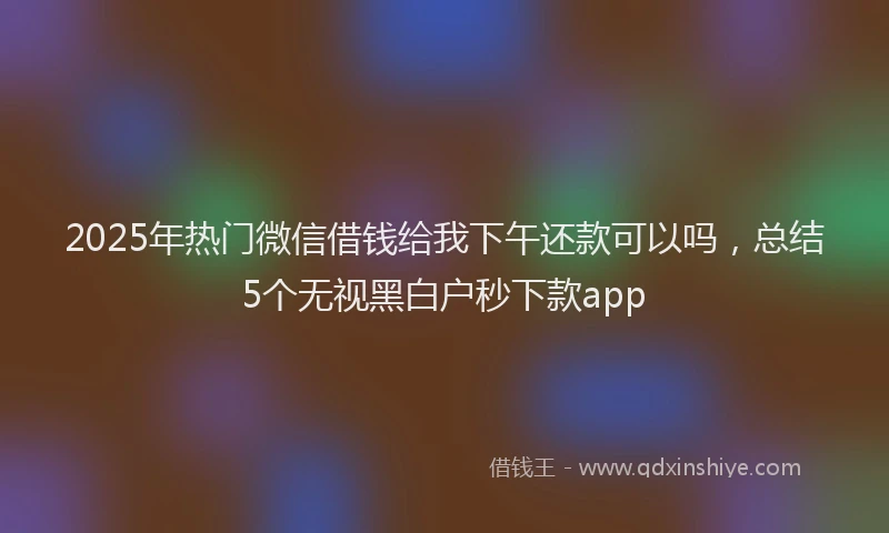 2025年热门微信借钱给我下午还款可以吗，总结5个无视黑白户秒下款app