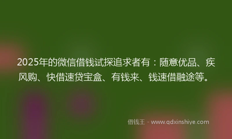 2025年的微信借钱试探追求者有：随意优品、疾风购、快借速贷宝盒、有钱来、钱速借融途等。