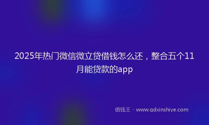 2025年热门微信微立贷借钱怎么还，整合五个11月能贷款的app