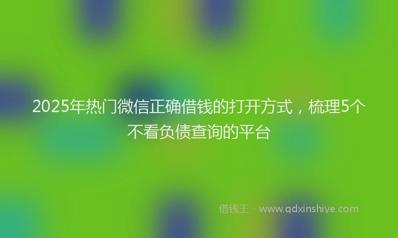2025年热门微信正确借钱的打开方式，梳理5个不看负债查询的平台