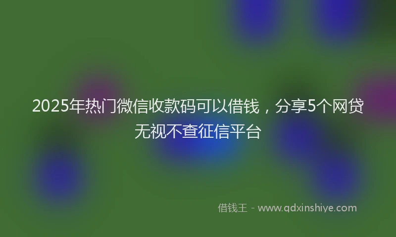 2025年热门微信收款码可以借钱，分享5个网贷无视不查征信平台