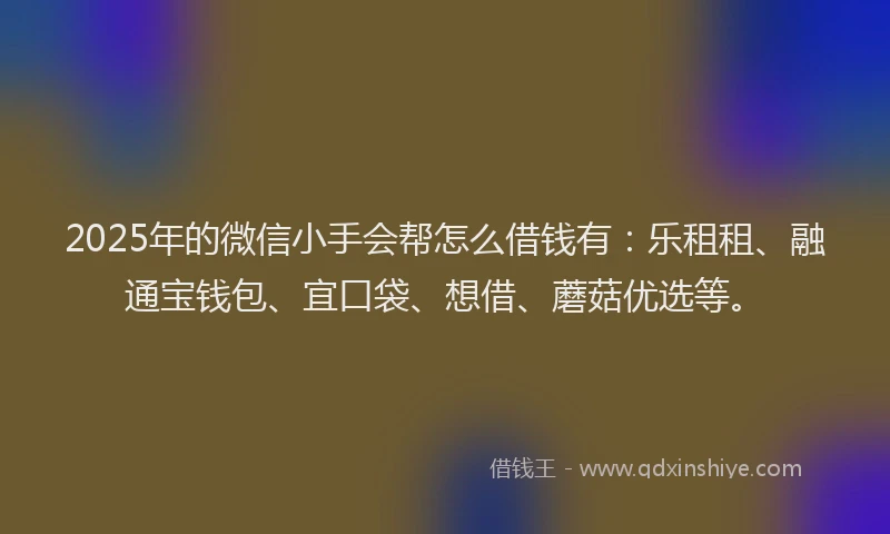 2025年的微信小手会帮怎么借钱有：乐租租、融通宝钱包、宜口袋、想借、蘑菇优选等。