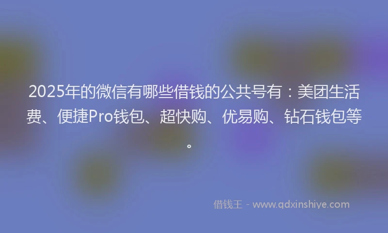2025年的微信有哪些借钱的公共号有：美团生活费、便捷Pro钱包、超快购、优易购、钻石钱包等。